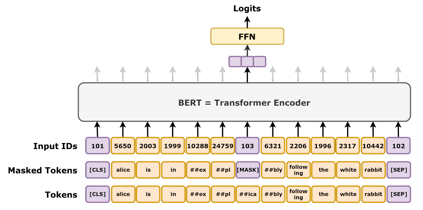 BERT Pre-training and Fine-tuning